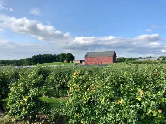 Belkin Family Lookout Farm - U-Pick Orchard - Taproom, Outdoor Dining and Market