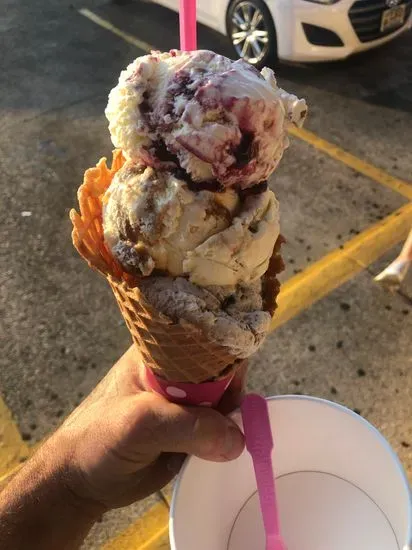 Baskin-Robbins