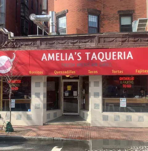 Amelia's Taqueria