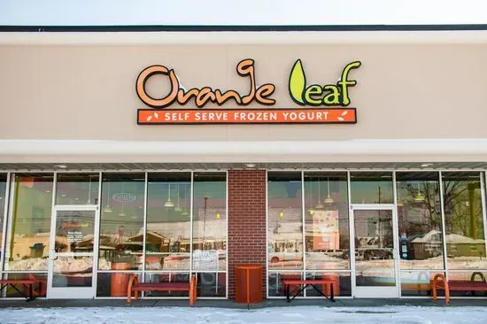 Orange Leaf Frozen Yogurt