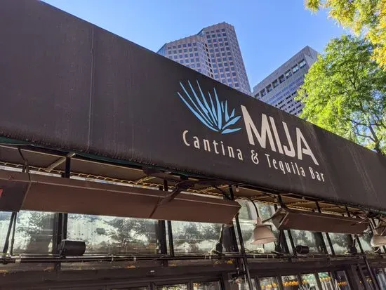 MIJA Cantina & Tequila Bar