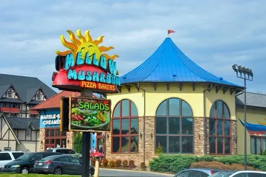 Mellow Mushroom Pigeon Forge