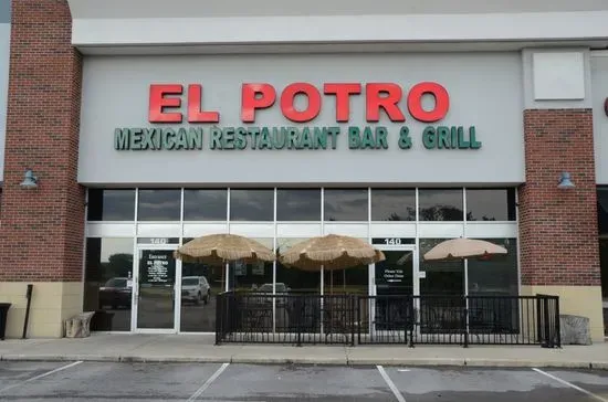 El Potro Mexican Restaurant Bar & Grill