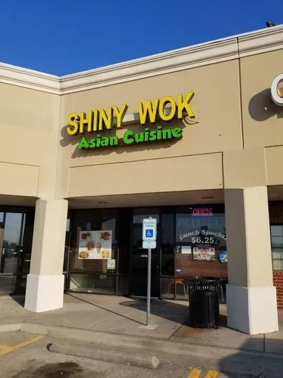 Shiny Wok