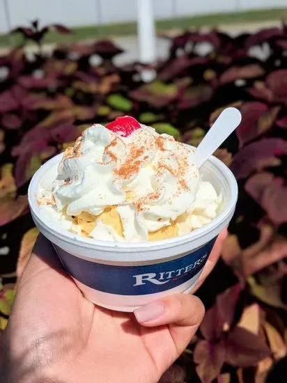 Ritter's Frozen Custard Terre Haute