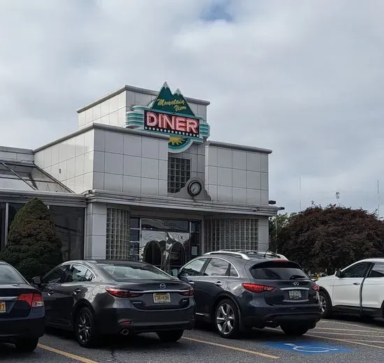 Mountain View Diner