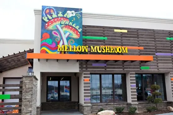 Mellow Mushroom Johnson City