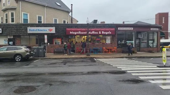 Magnificent Muffin & Bagel Teele Sq