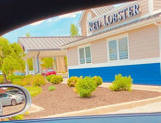 Red Lobster