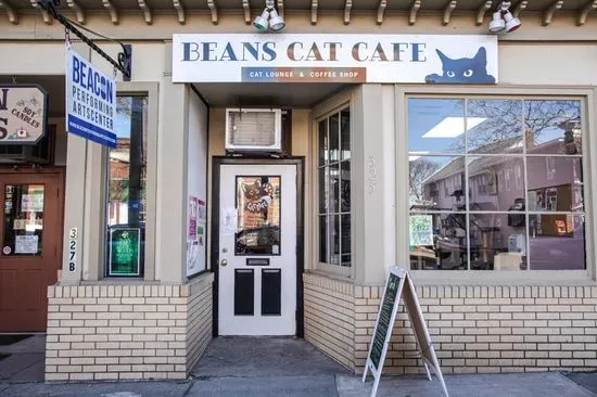 Beans Cat Cafe