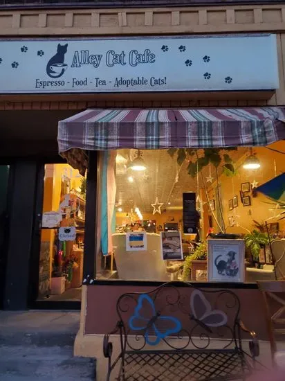 Alley Cat Cafe