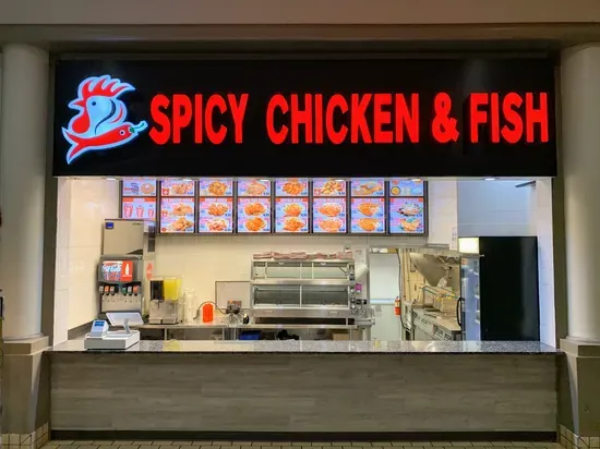 Spicy Chicken & Fish