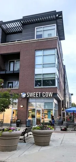 Sweet Cow