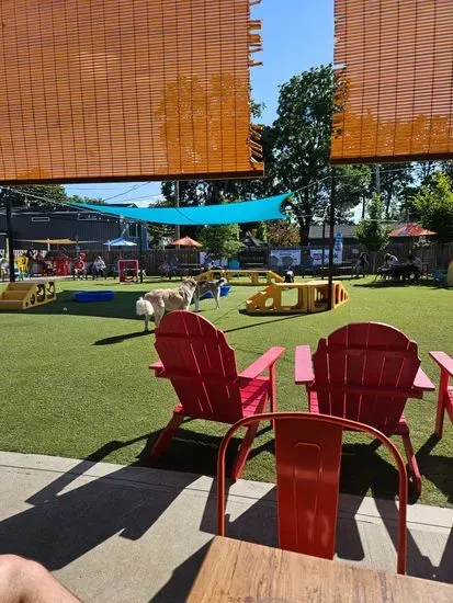 PG&J's Dog Park Bar