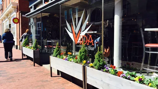 Vida Taco Bar