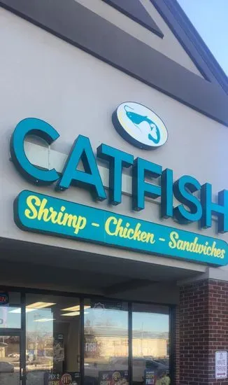 Catfish - Chicken, Sandwich, Gyros & More