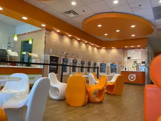 Orange Leaf Frozen Yogurt