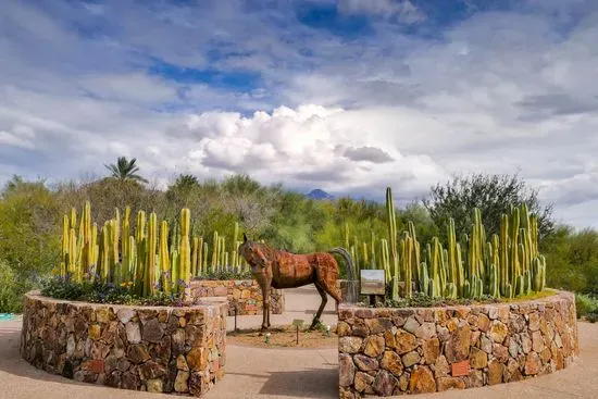 Tohono Chul | Gardens, Galleries, and Bistro