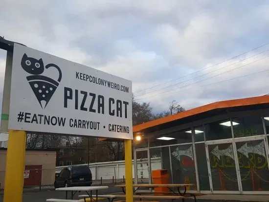 Pizza Cat