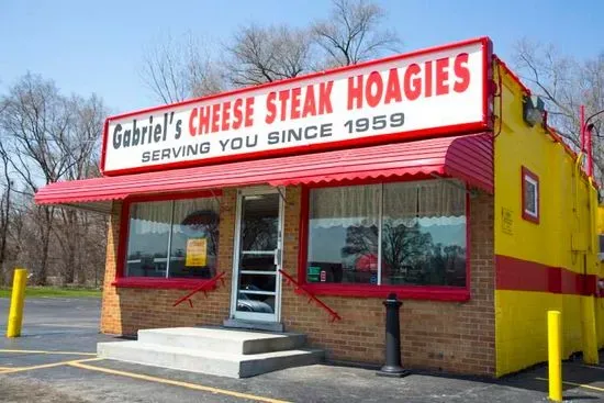 Ypsilanti Gabriel's Cheese Steak Hoagies