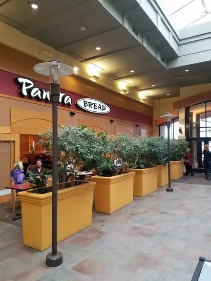 Panera Bread