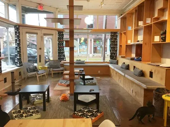 Mauhaus Cat Cafe