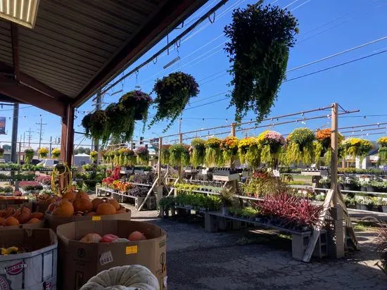 Joplin Greenhouse and the Coffee Shop