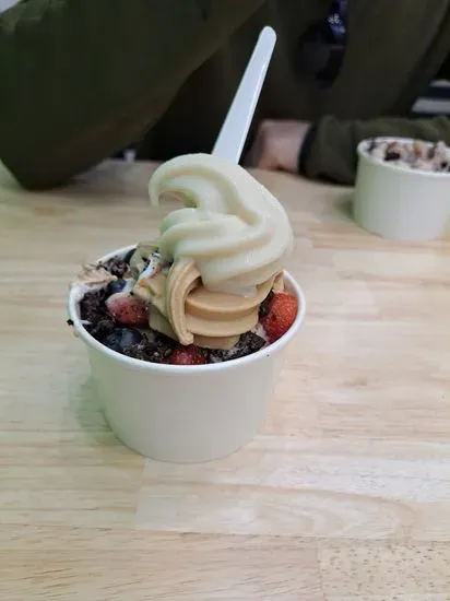 Yogurt Lab