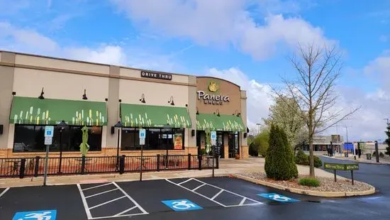 Panera Bread