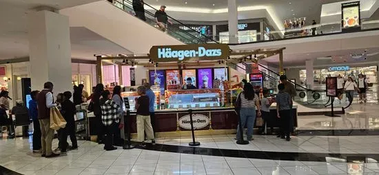 Häagen-Dazs Ice Cream
