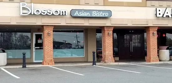 Blossom Asian Bistro