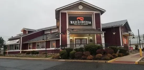 Red Lobster