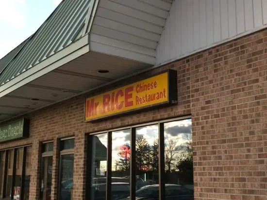 Mr Rice