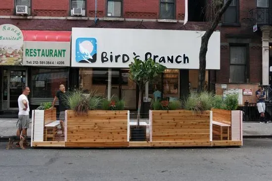 Bird & Branch Coffee Roasters