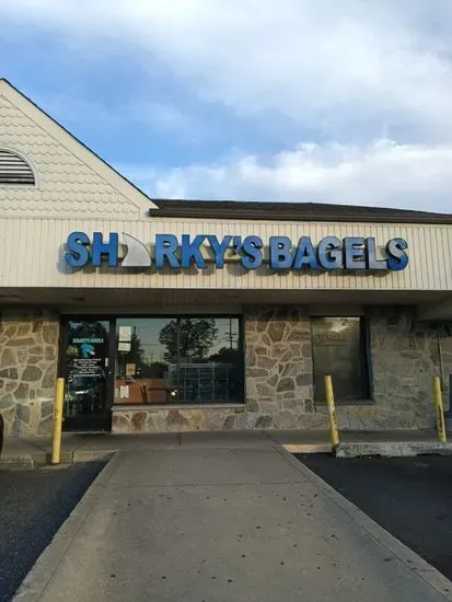 Sharky's Bagels