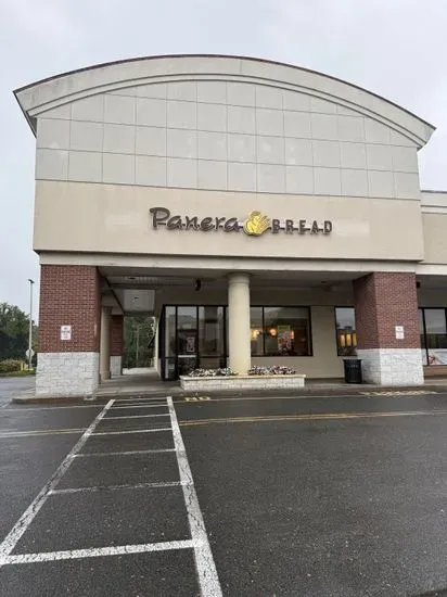 Panera Bread