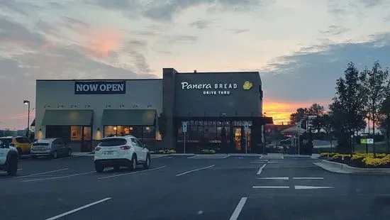 Panera Bread