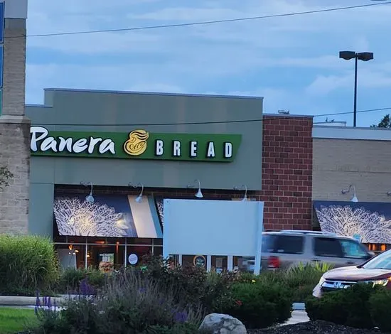 Panera Bread