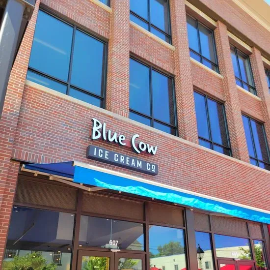 Blue Cow Ice Cream Co.