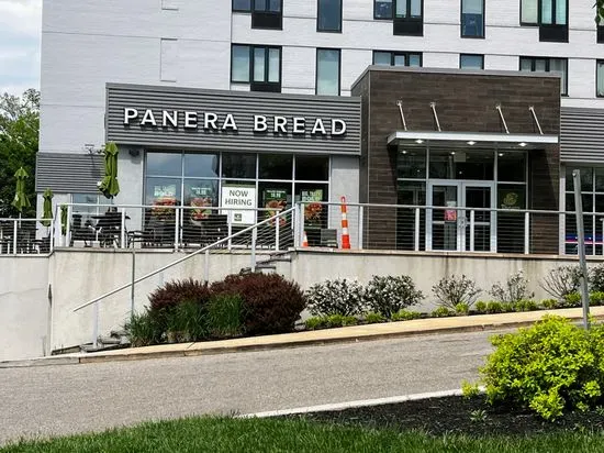 Panera Bread