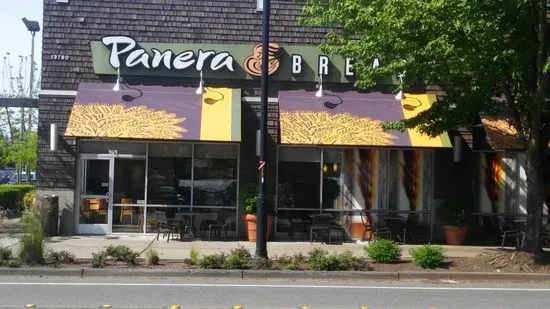 Panera Bread