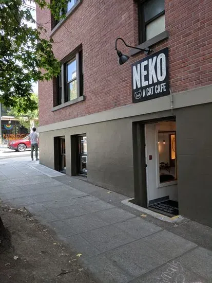 NEKO Cat Cafe Seattle