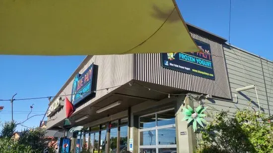 Blue Palm Frozen Yogurt