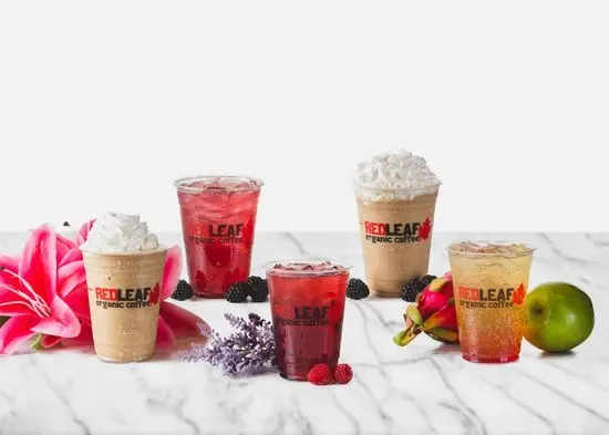 Red Leaf Organic Coffee Kalama