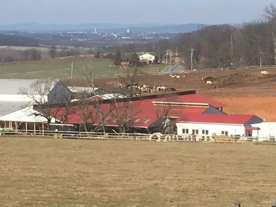 Perrydell Farm and Dairy