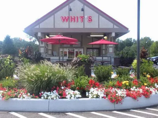 Whit's Frozen Custard