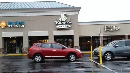 Panera Bread