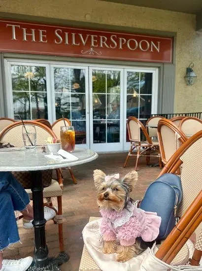 The Silverspoon