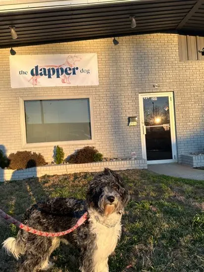 The Dapper Dog