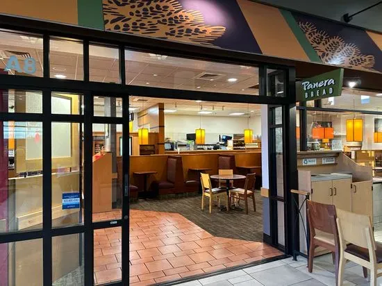 Panera Bread